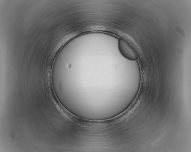 X0000113861225200909241019