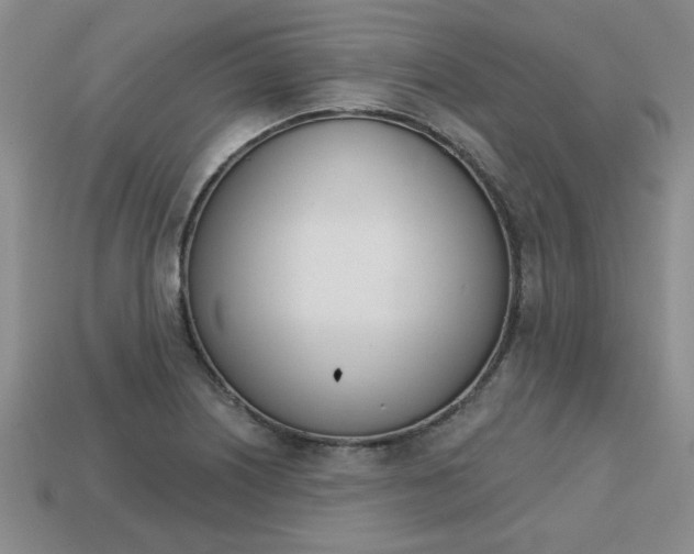 X0000113861226200909241019