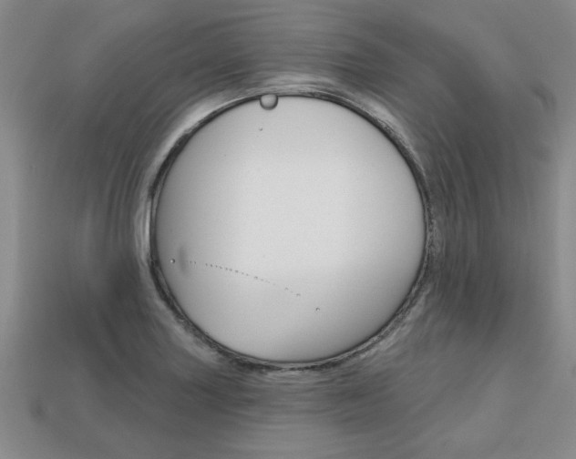 X0000113861227200909241019