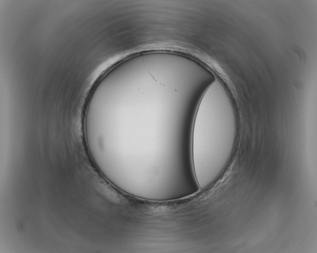 X0000113861230200909241019