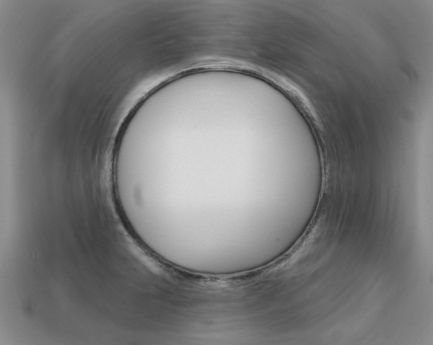 X0000113861231200909241019