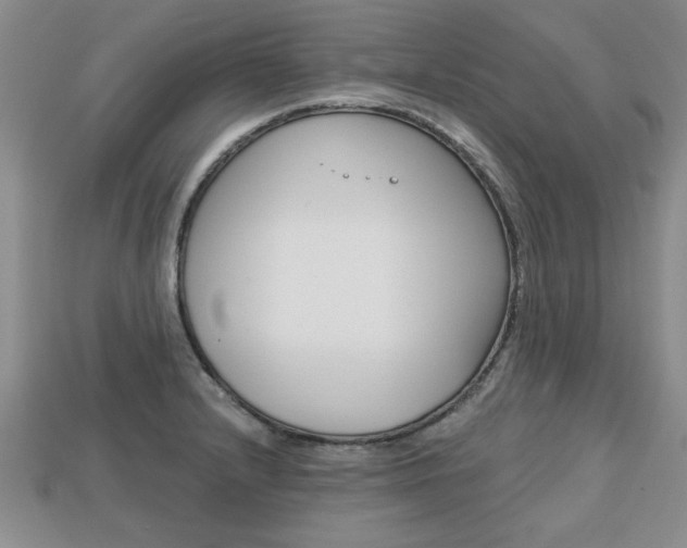 X0000113861232200909241019