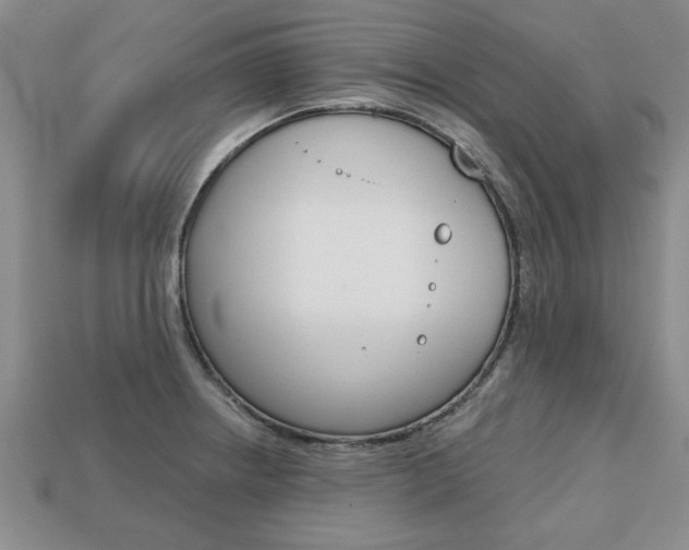 X0000113861234200909241019
