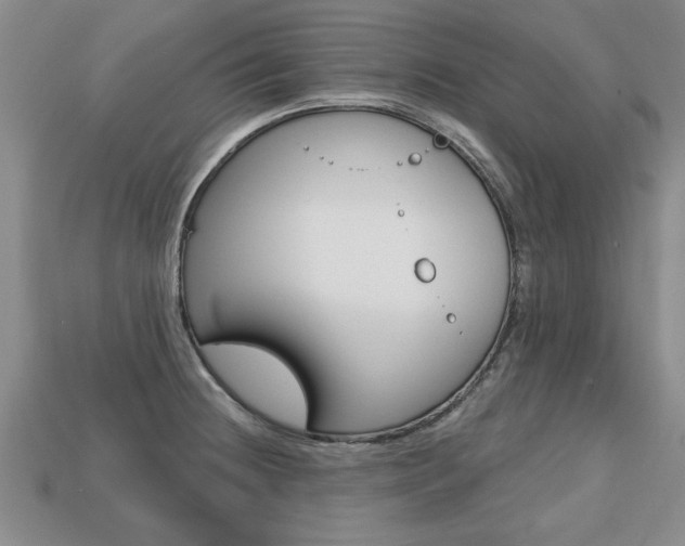X0000113861236200909241019