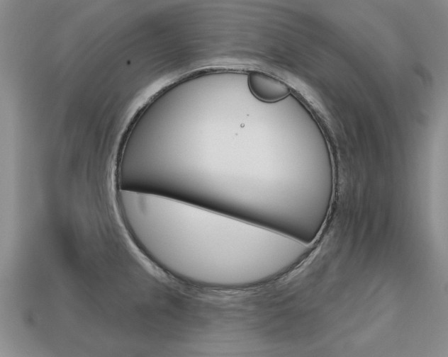 X0000113861237200909241019