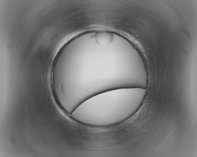 X0000113861239200909241019