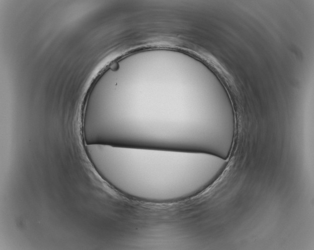 X0000113861240200909241019