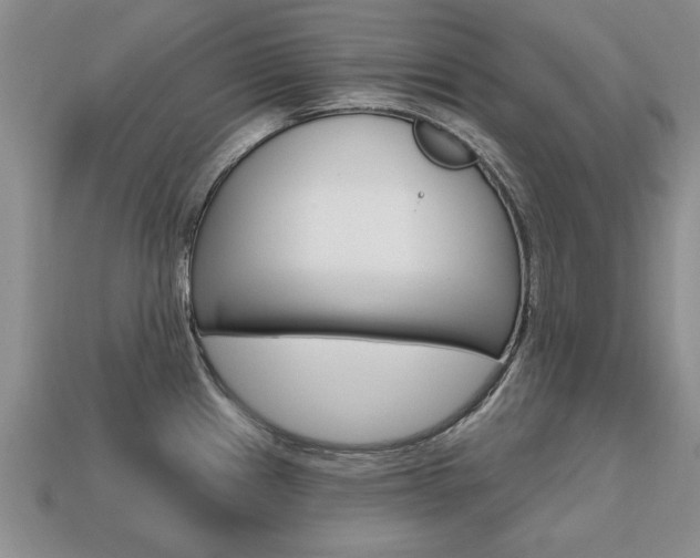 X0000113861241200909241019