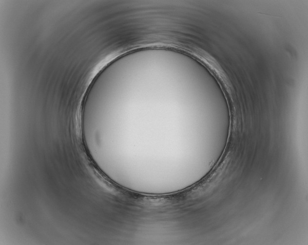 X0000113861242200909241019