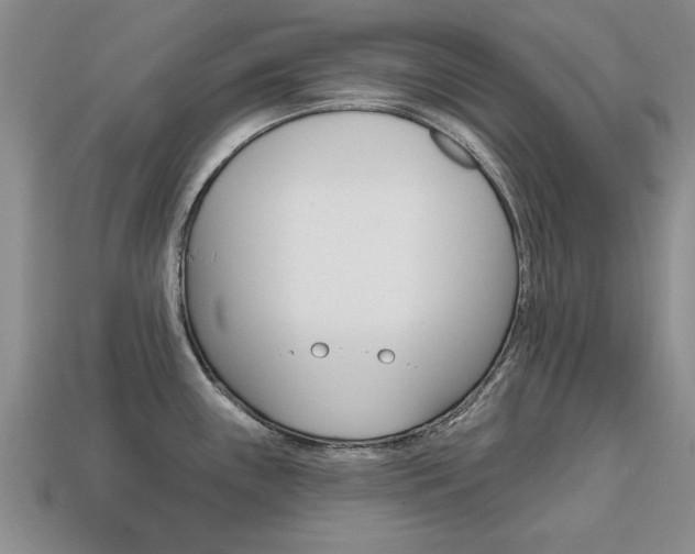 X0000113861243200909241019