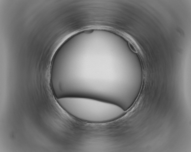 X0000113861244200909241019
