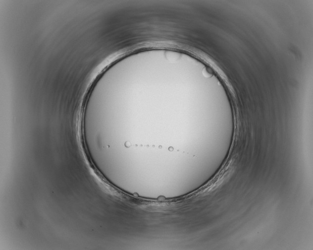 X0000113861245200909241019
