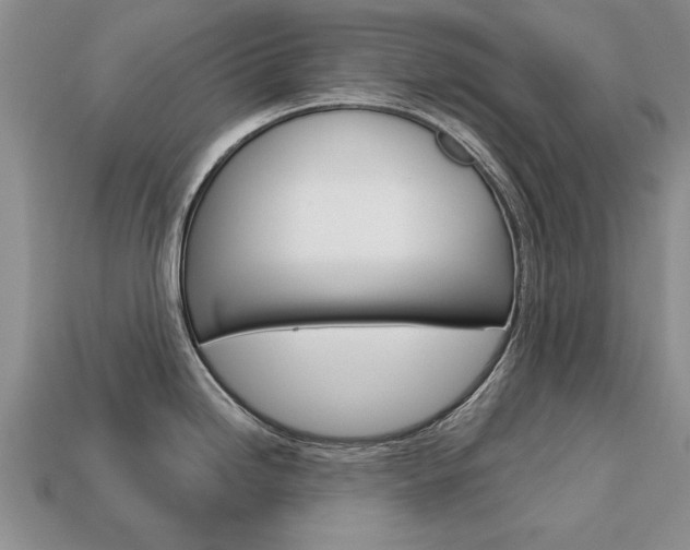 X0000113861246200909241019