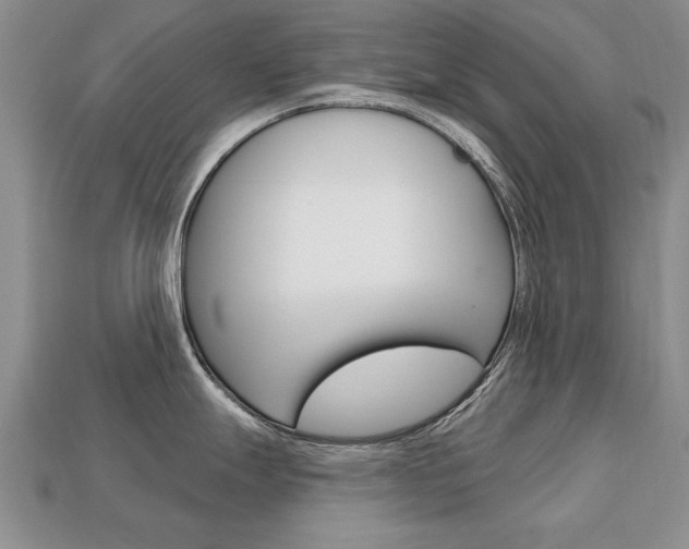 X0000113861247200909241019
