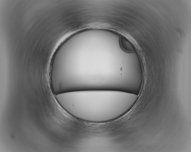 X0000113861248200909241019