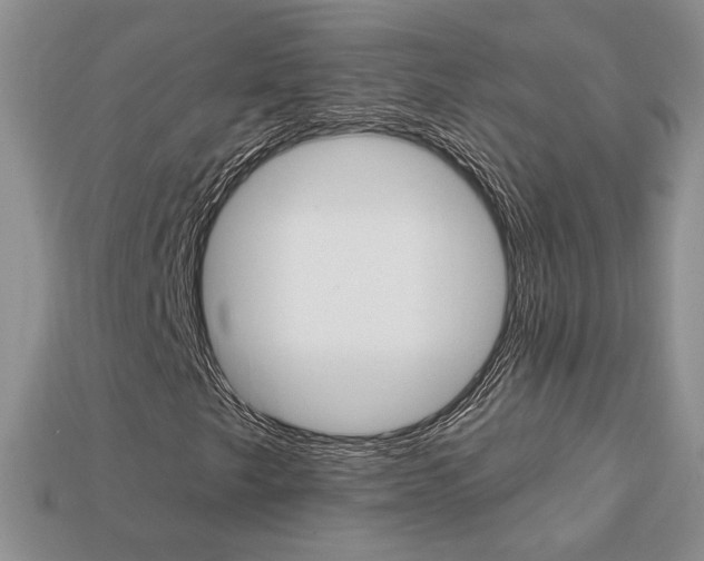 X0000113861249200909241018