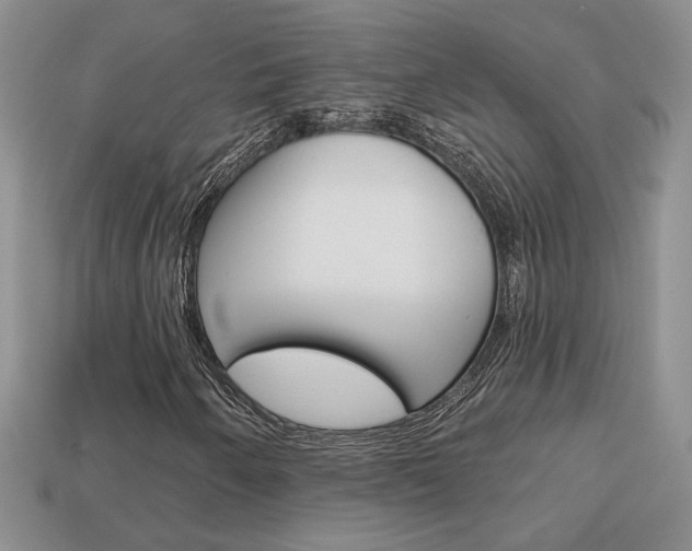 X0000113861250200909241018