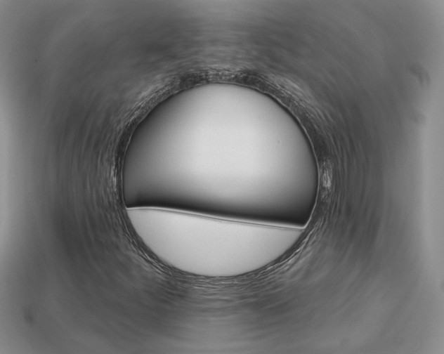 X0000113861252200909241018
