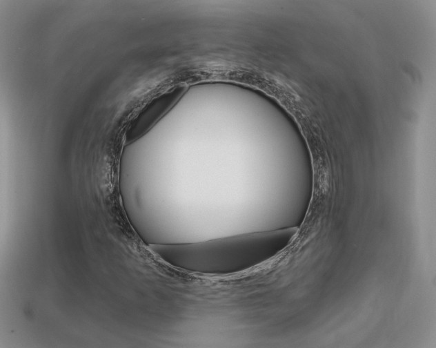 X0000113861253200909241018