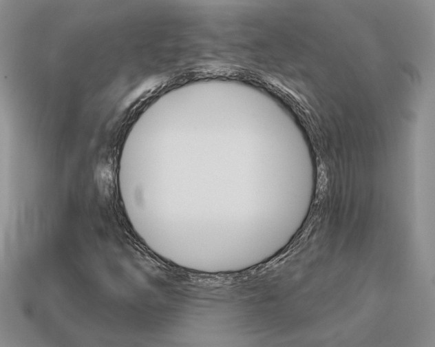 X0000113861254200909241018