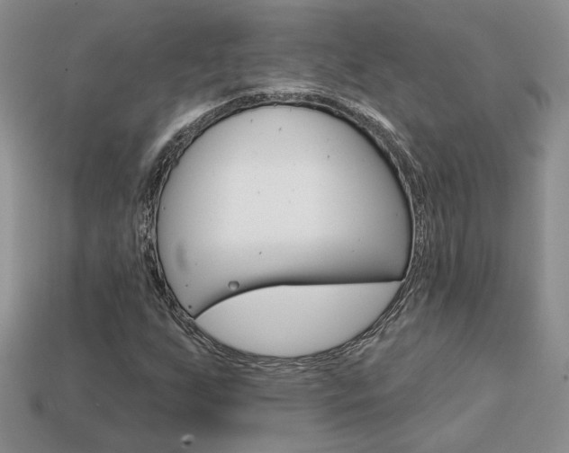 X0000113861255200909241018