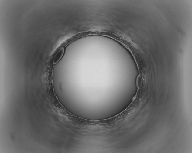 X0000113861256200909241018