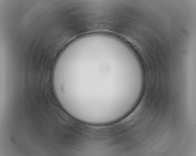 X0000113861257200909241018