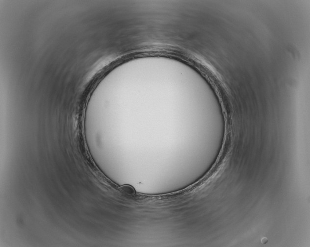 X0000113861259200909241018