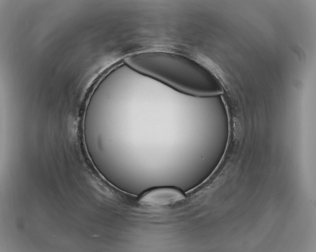 X0000113861260200909241018