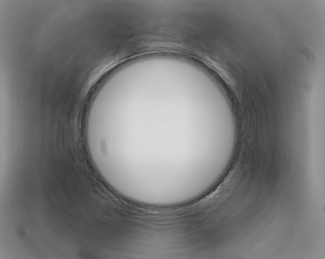 X0000113861261200909241018