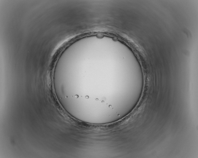 X0000113861262200909241018