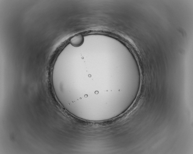 X0000113861263200909241018