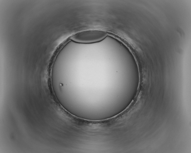 X0000113861264200909241018