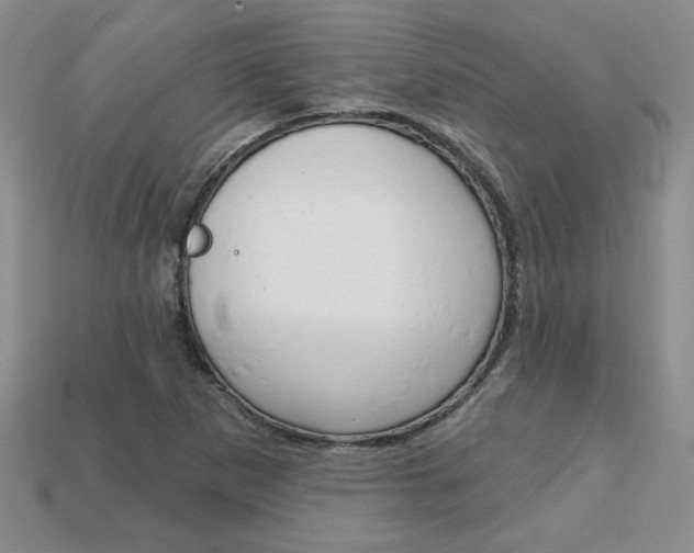 X0000113861265200909241018