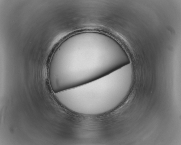 X0000113861267200909241018