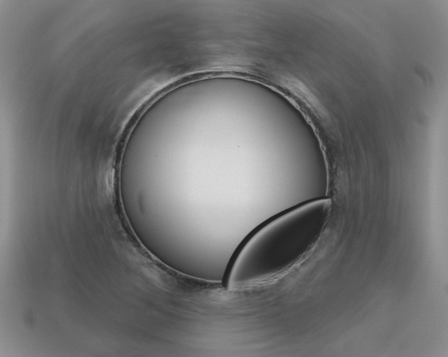 X0000113861268200909241018