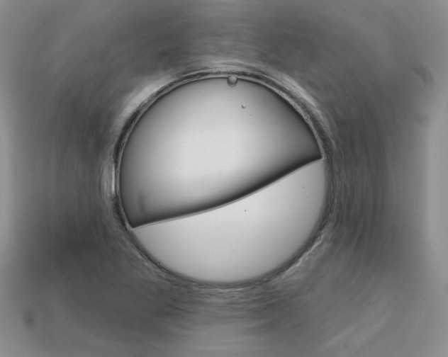 X0000113861269200909241018