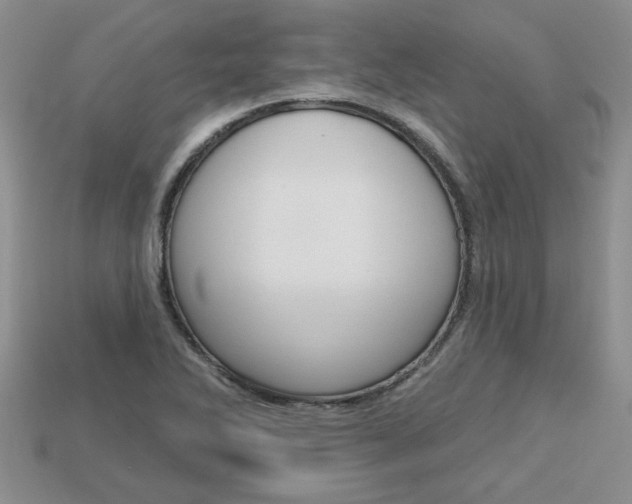 X0000113861270200909241018