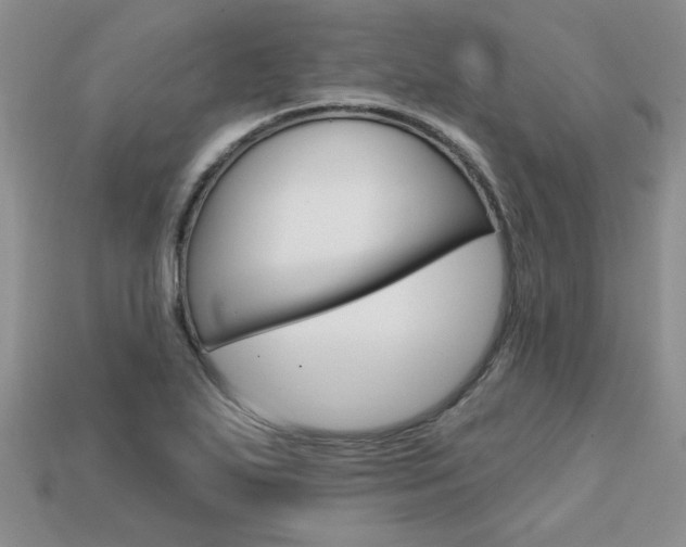 X0000113861271200909241018