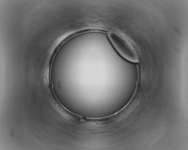 X0000113861272200909241018