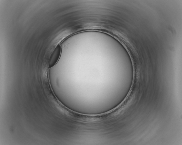 X0000113861273200909241018