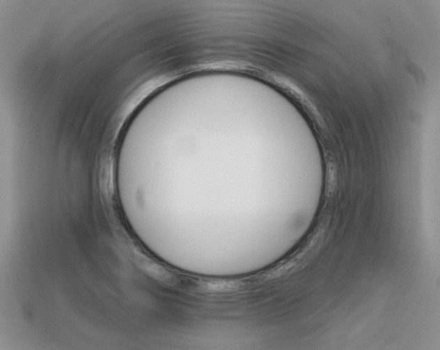 X0000113861274200909241018