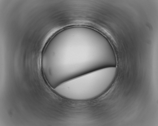X0000113861275200909241018