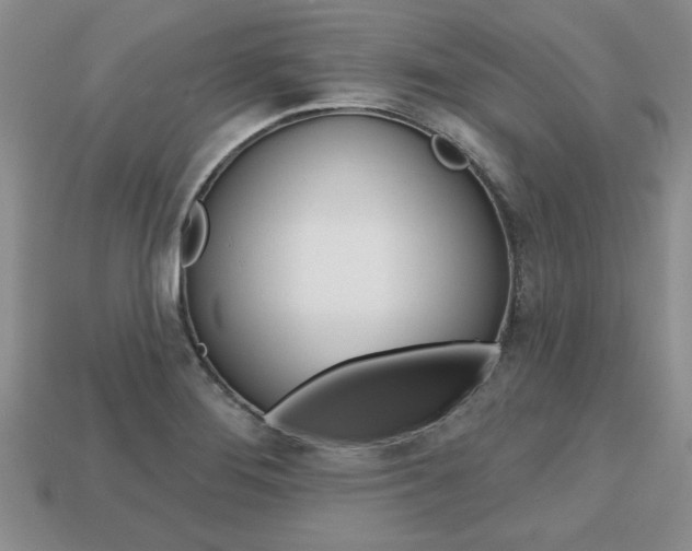 X0000113861276200909241018