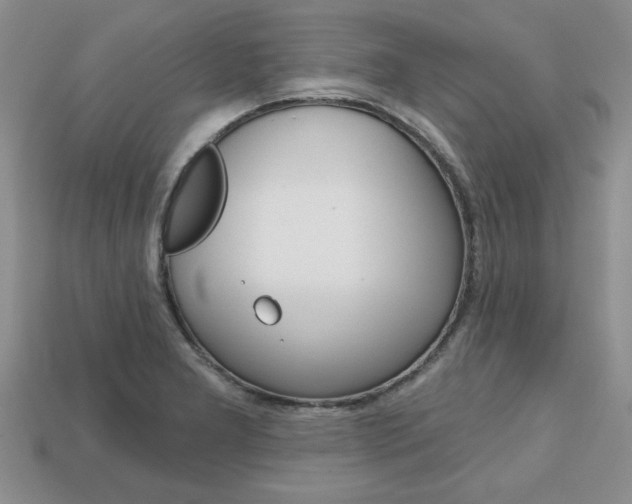 X0000113861277200909241018