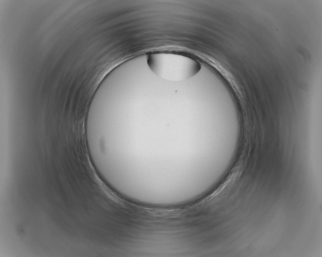 X0000113861281200909241018