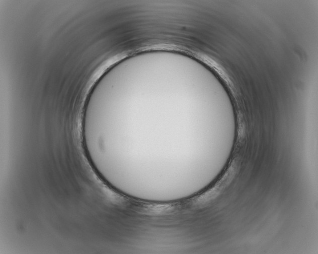X0000113861282200909241018