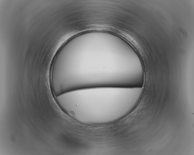 X0000113861283200909241018