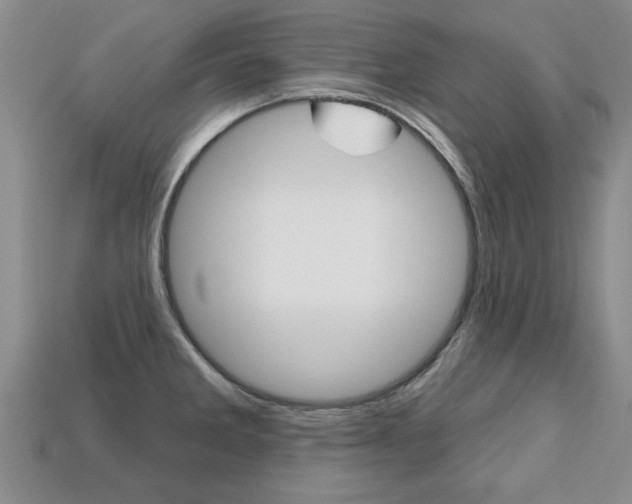 X0000113861285200909241018