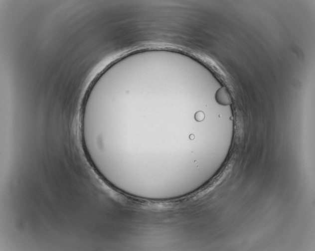 X0000113861286200909241018